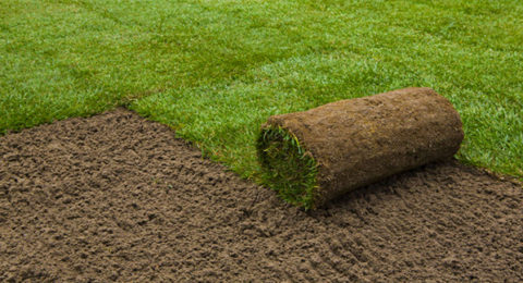 lawn sprinklers system