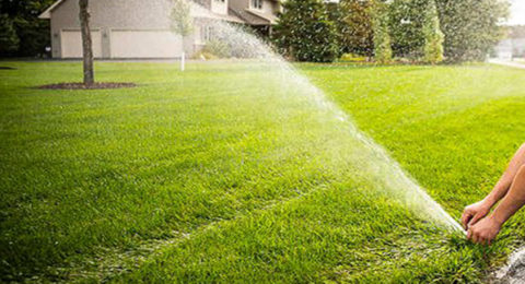 lawn Irrigation System