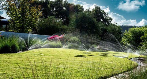 Lawn Sprinklers