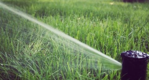 irrigation system