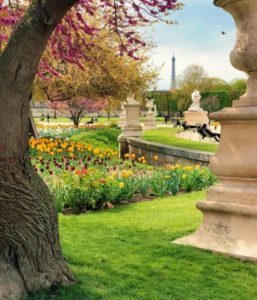 Irrigation System Toronto