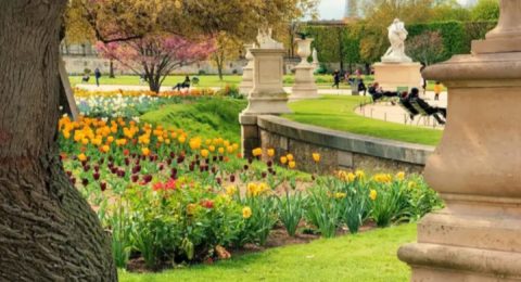 Irrigation System Toronto