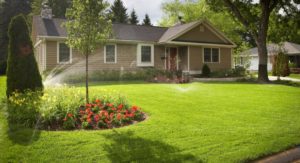 lawn sprinklers