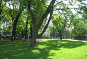 lawn sprinklers Mississauga