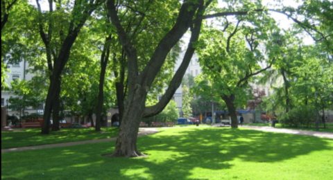 lawn sprinklers Mississauga